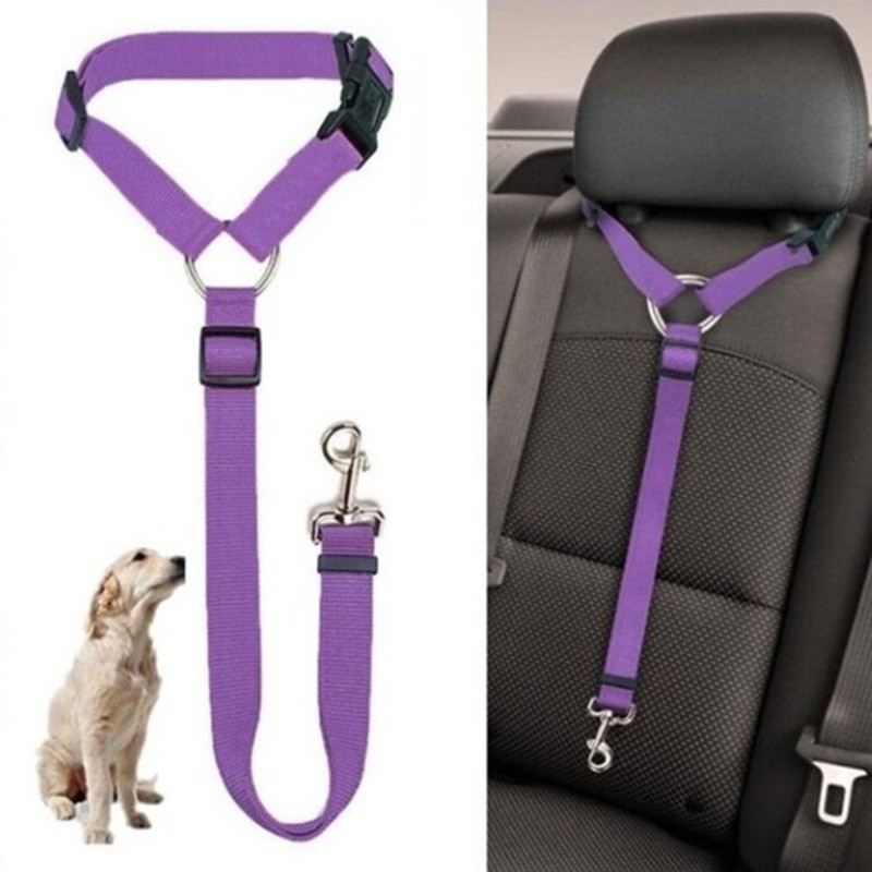 Cinturón de seguridad dos en uno para mascotas